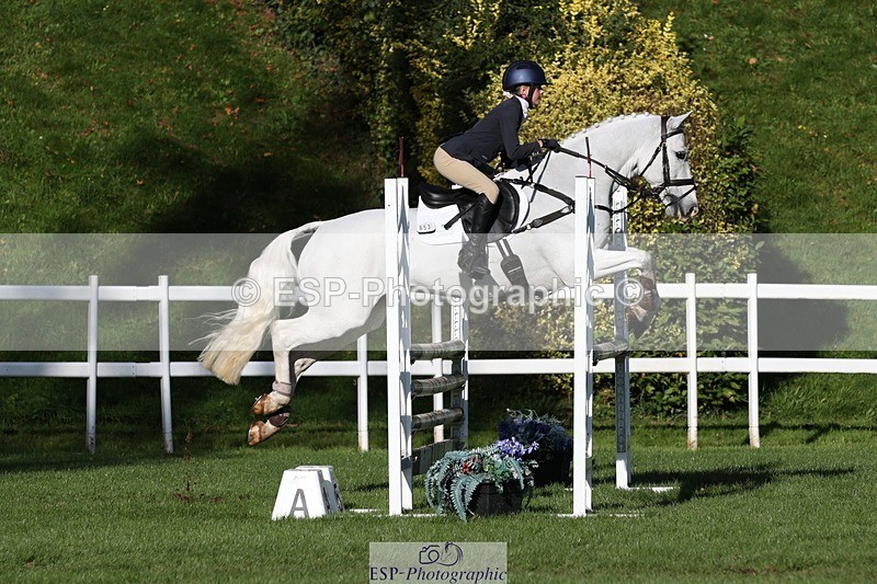 231022-110500-24942 - 653-GREYΓÇÖS.VILLAGE.MELODY-Annabel.Ridgway-TrotUp+SJ