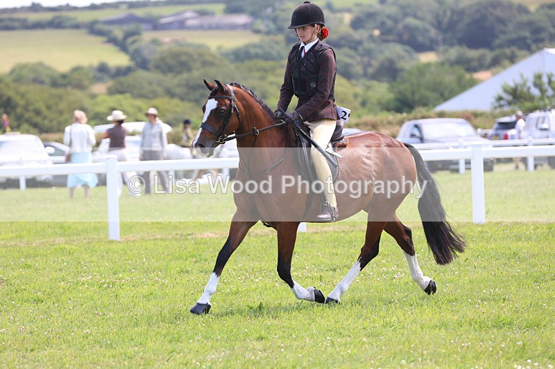 JPP_2633 - Class 21: Working Hunter 60cm