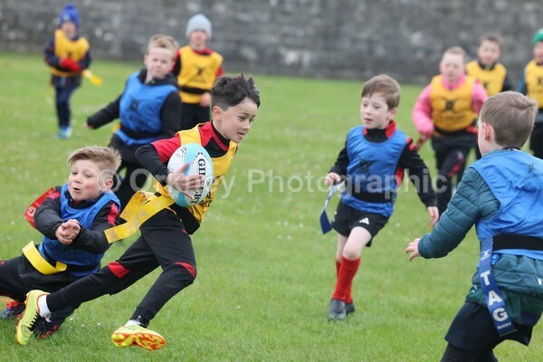 DAD22352 - Rookies/Mini Rugby on 7s Day