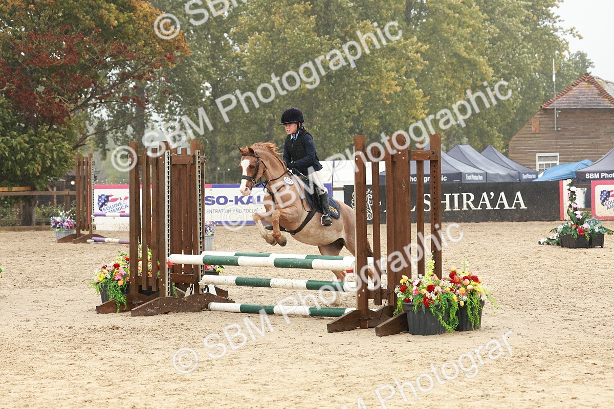 SBM_73334 - Supreme Championship Junior Pony 60cm & 65cm