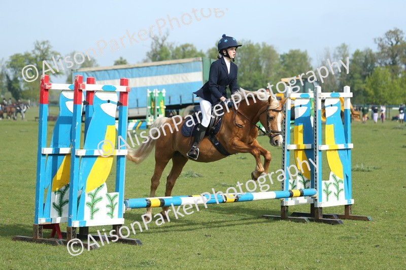 20260426-0146 - Class 13 - Rookie Jumping 50cm