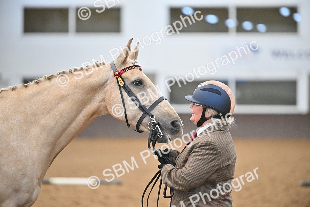 EB7_8414 - Class 3 - In Hand Foreign Breeds & Warmbloods