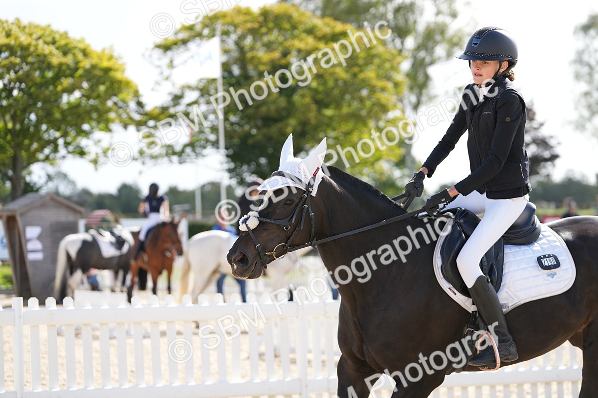 SBM_17830 - J58 - Clear Round 50cm