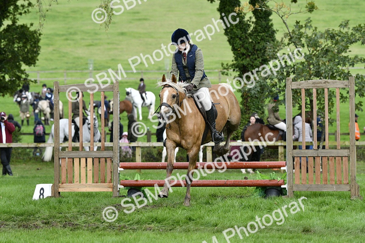 SBM_42245 - S32 - Mountain & Moorland Working Hunter Pony
