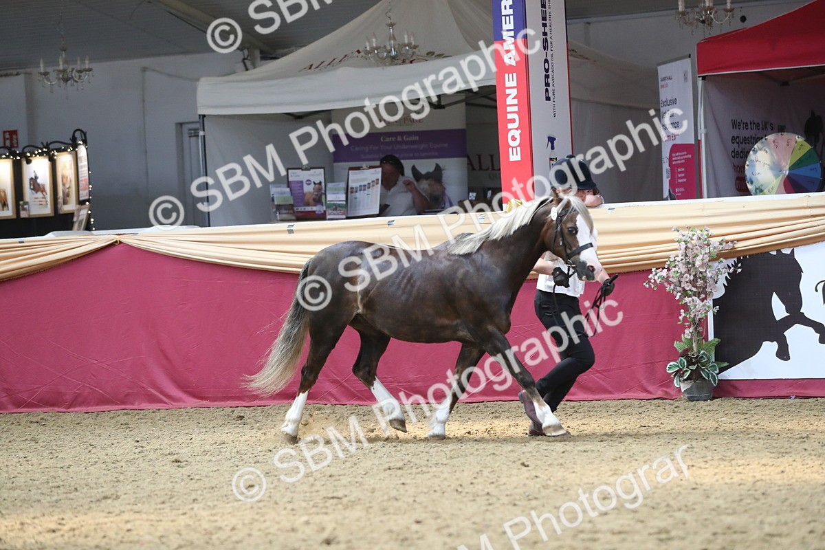 SBM_15140 - Class 501 M&M IH Supreme Final