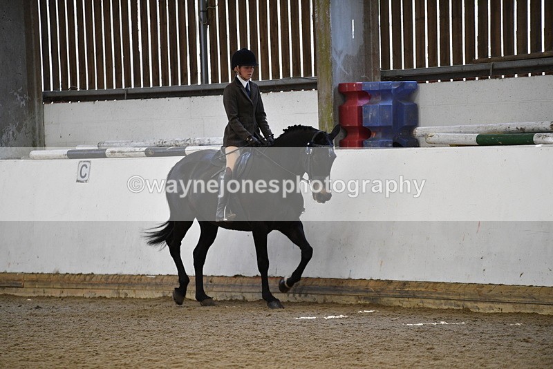 WJ5_5965 - Class 9 Ridden Veteran