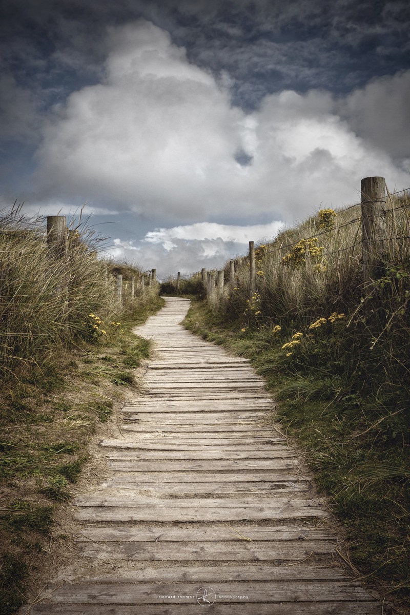 Dune path - Beside the Sea