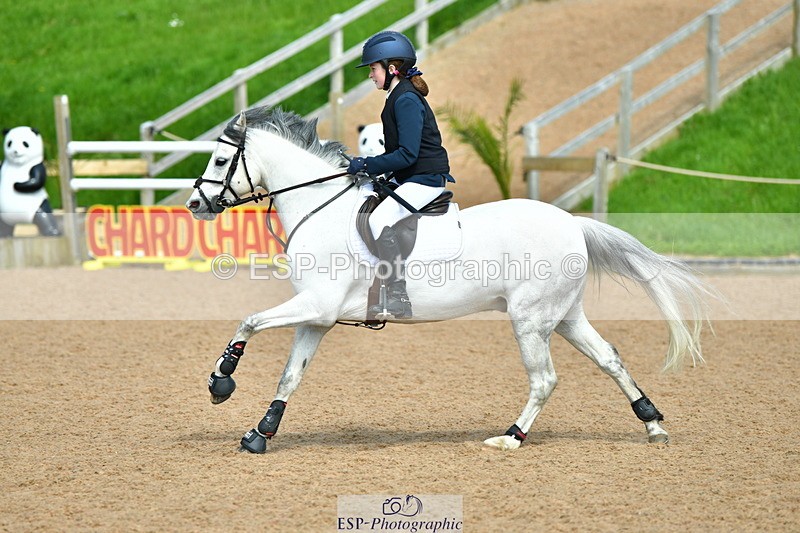 230513A-150059-01506 - Cls 38 Club 80cm