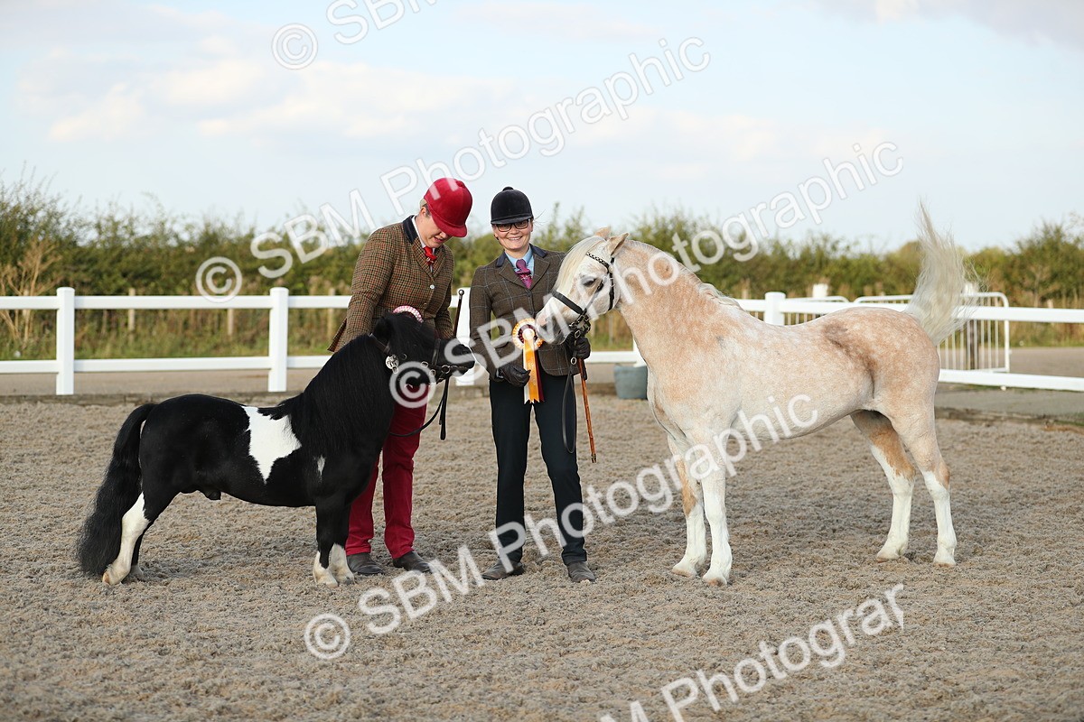 SBM_09136 - Class 29 IH Veteran Pony