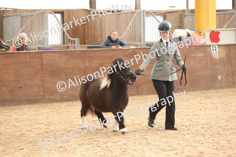 20251109-0403 - Class 15 - Coloureds