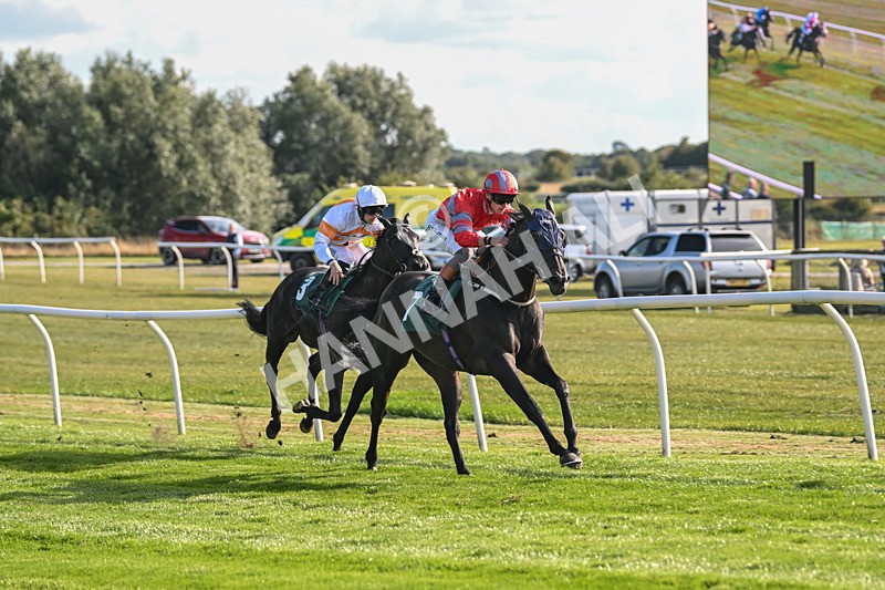 090925-Race 5-Dream Deal-9217 - Race 5