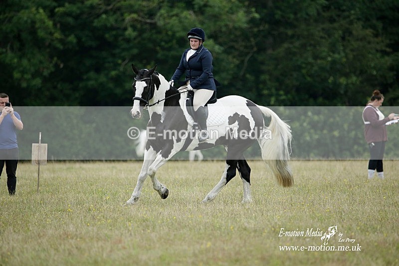 BVRC 030721 511 - Bourne Valley Riding Club Dressage 03/07/21