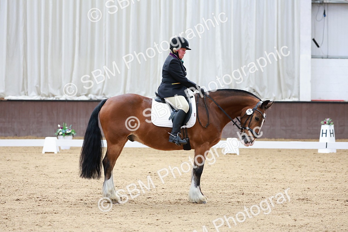 SBM_008120 - Class 6b - Novice 6 - 9.28-10.41