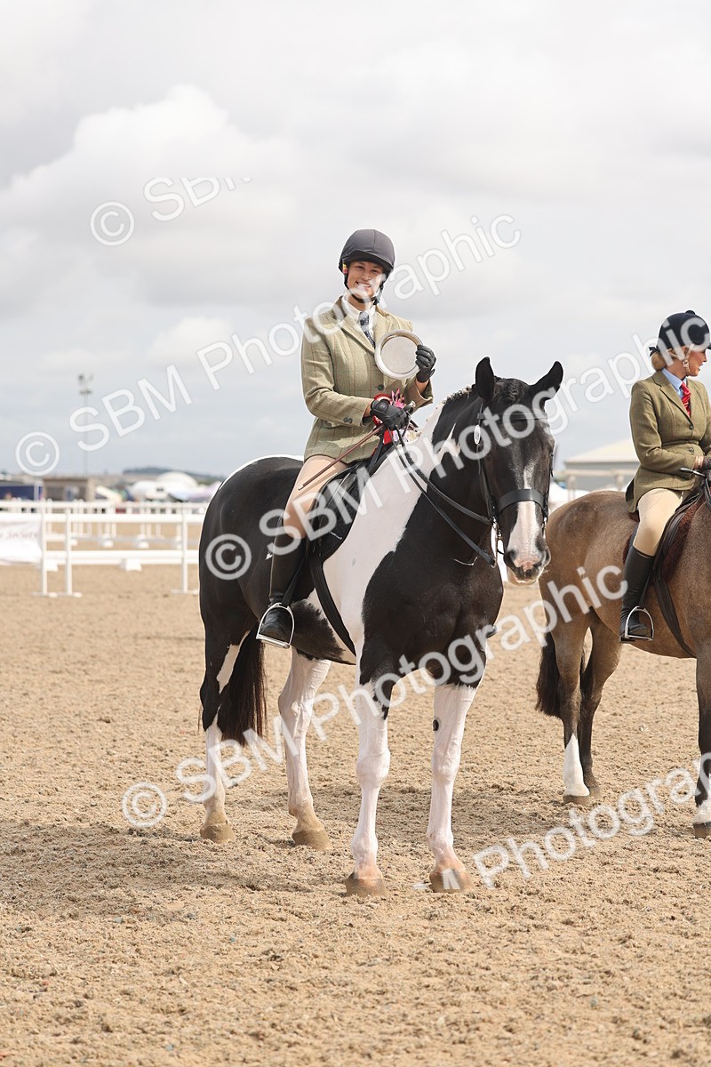 SBM_04569 - Class 19 - Horse/Pony Judge would most like to take home