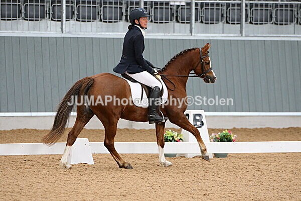 SIAL8017 - GDG Bogenraith Friday 26th Sept 2025