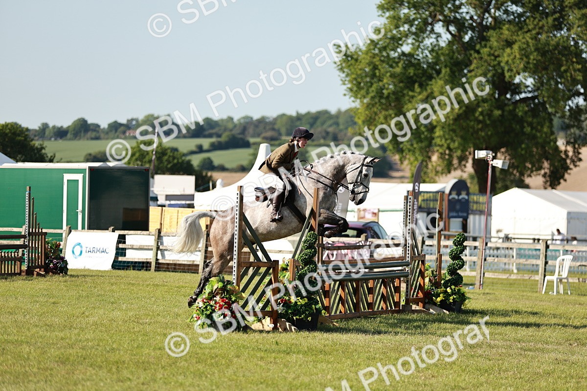 SBM_19944 - Class 115-116 - LIHS BSHA Rising Star Working Hunter & Show Horse