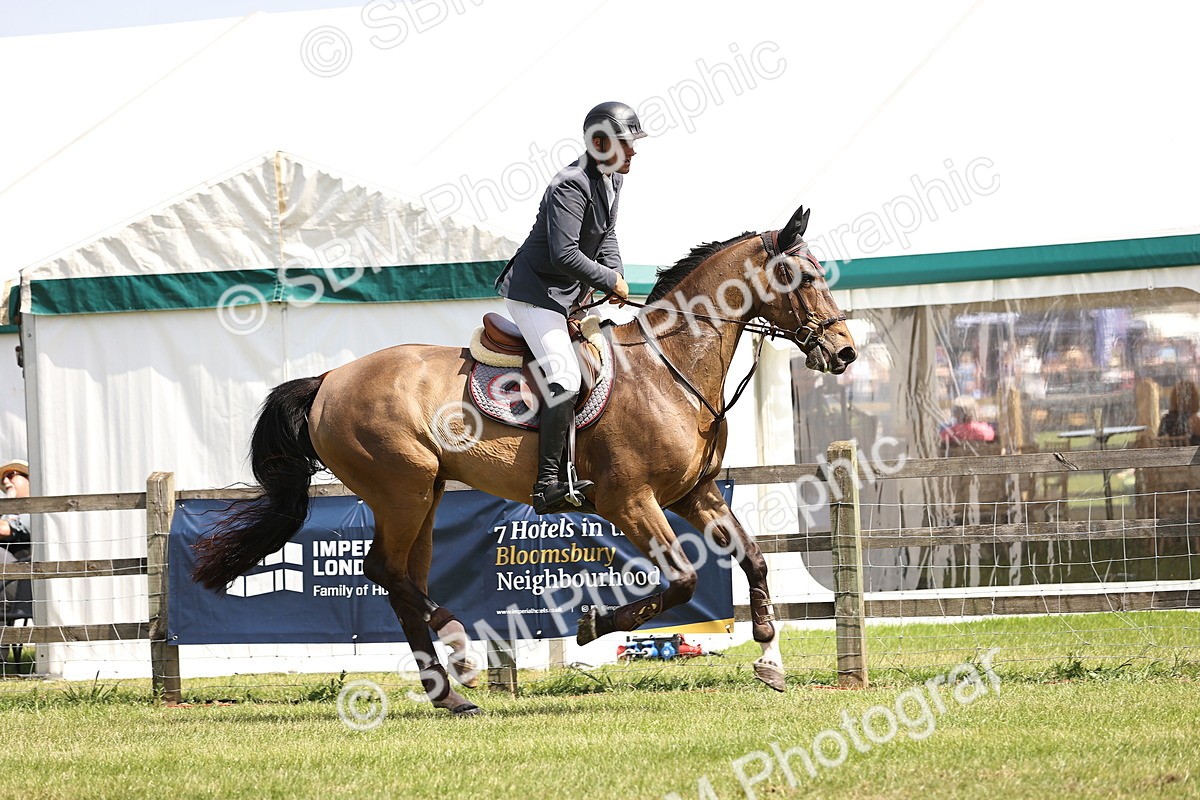 SBM_04097 - Class 201 - British Horse Feedds Speedi Beet HOYS Grade C