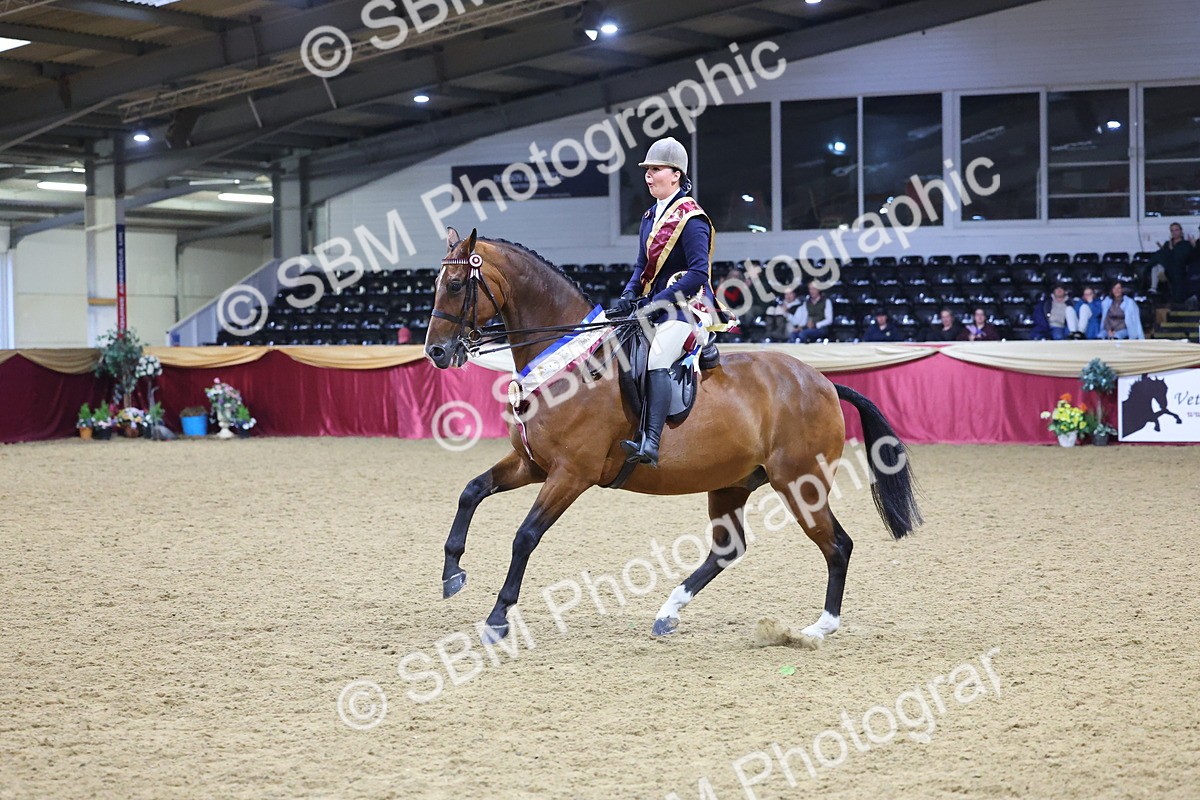 SBM_19197 - Class I Competition/ Riding Club Champ