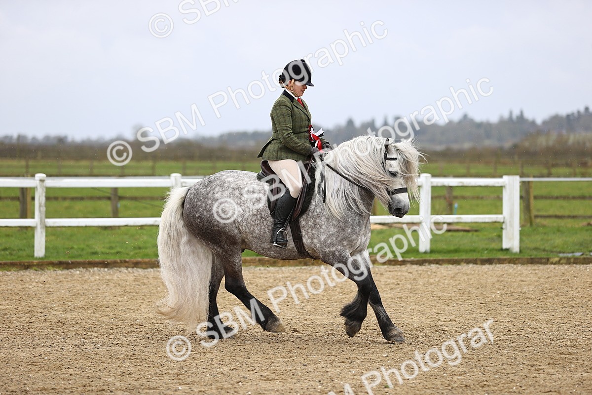 SBM_007620 - Class 31-32 - M&M Confined Novice Small-Large