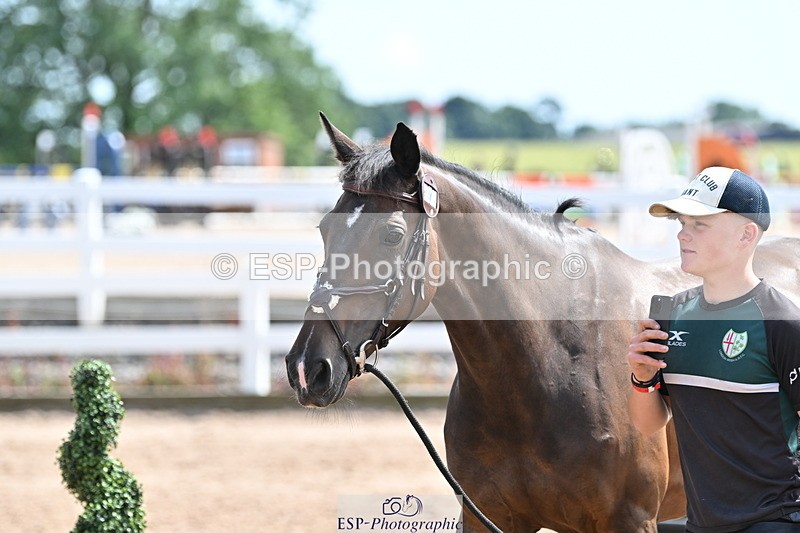 240717A-151143-02637 - Trot Up 3pm to 4pm