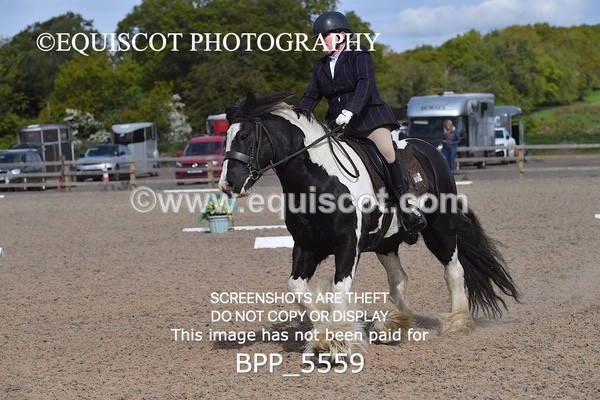BPP_5559 - 4 L DENHOLM
