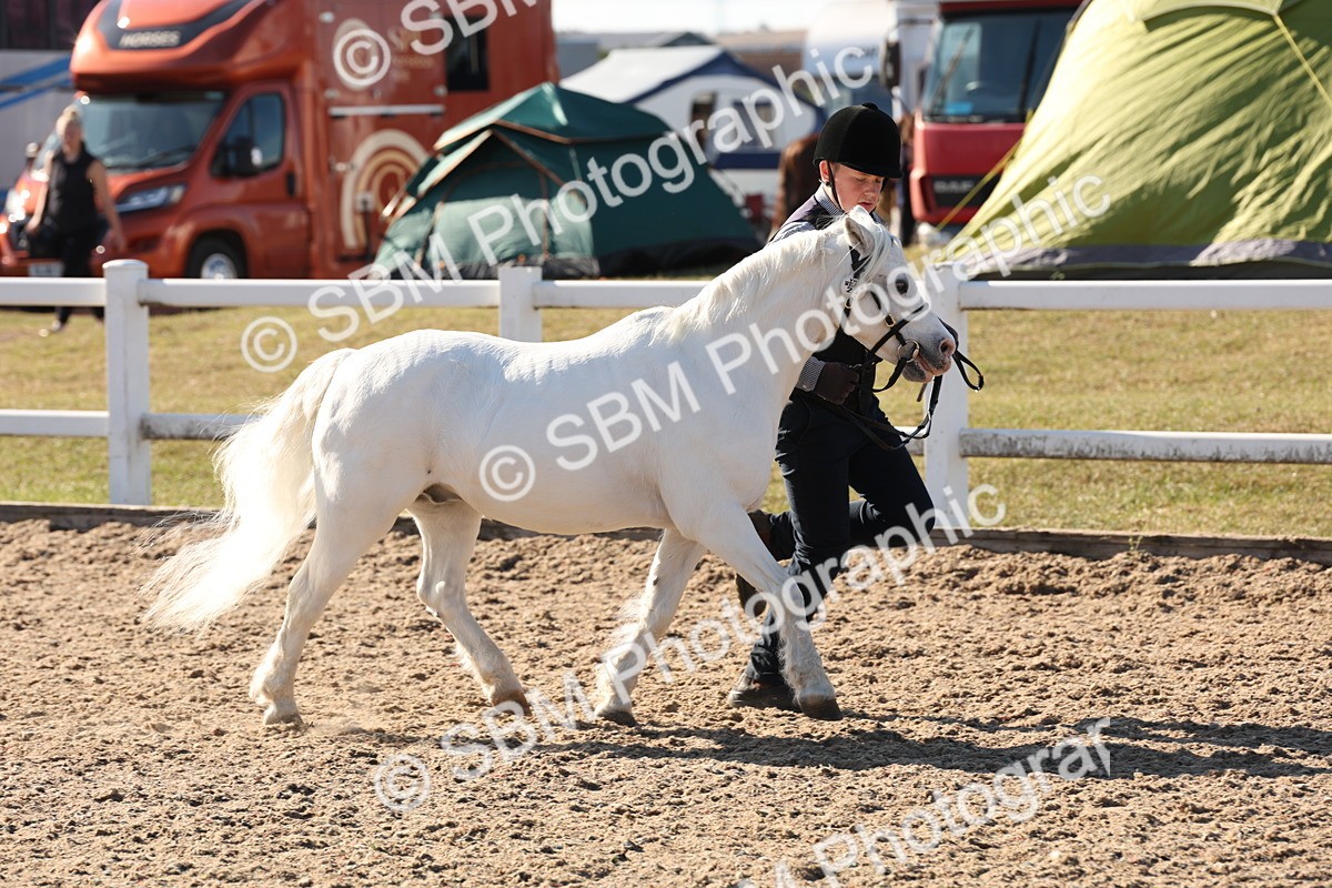 SBM_11728 - Class 204 - Young Handler 11 to 16 years