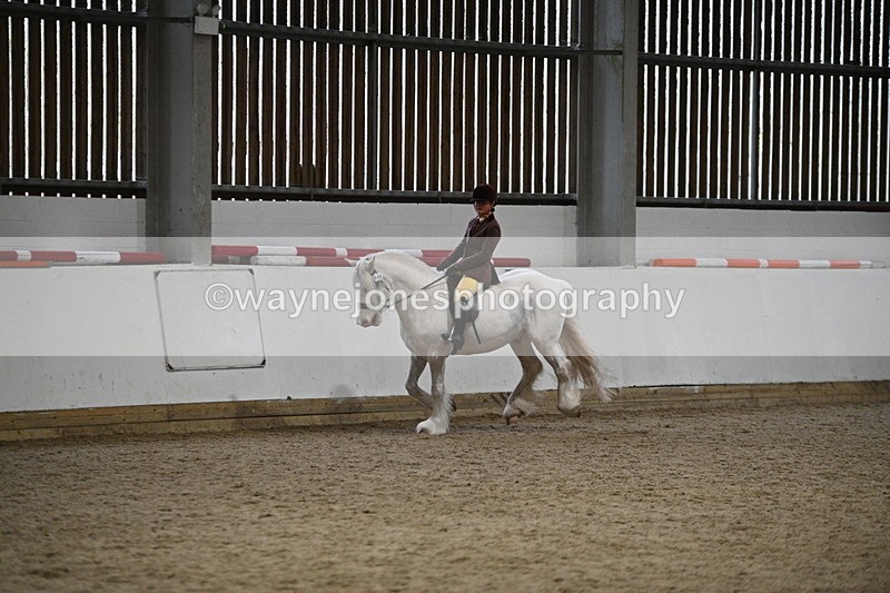 WJ7_3678 - Class 16 Ridden Coloured/ Odd Coloured