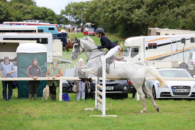 3E7A7046 - Class 5: Senior British Novice/90cm open