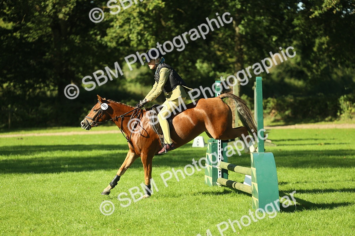 SBM_36426 - S29 - Novice & Newcomers Working Hunter Pony