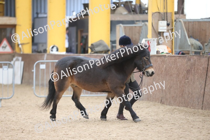 20251109-1210 - Supreme Championship