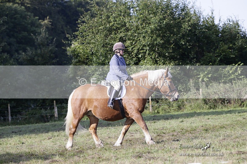 BVRC 120921 90 - Bourne Valley Riding Club UA Dressage & Show Jumping 12/09/21