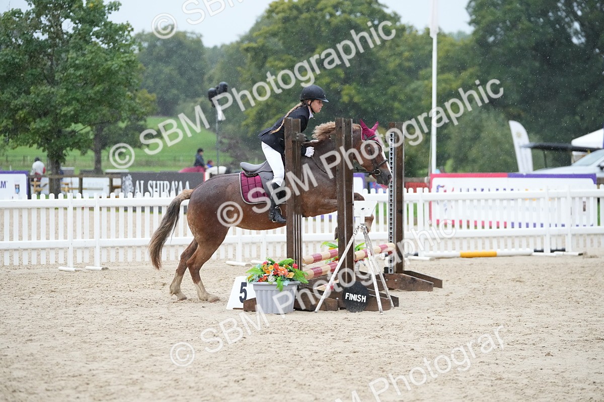 SBM_34101 - J5 - Junior Pony 50cm Championship