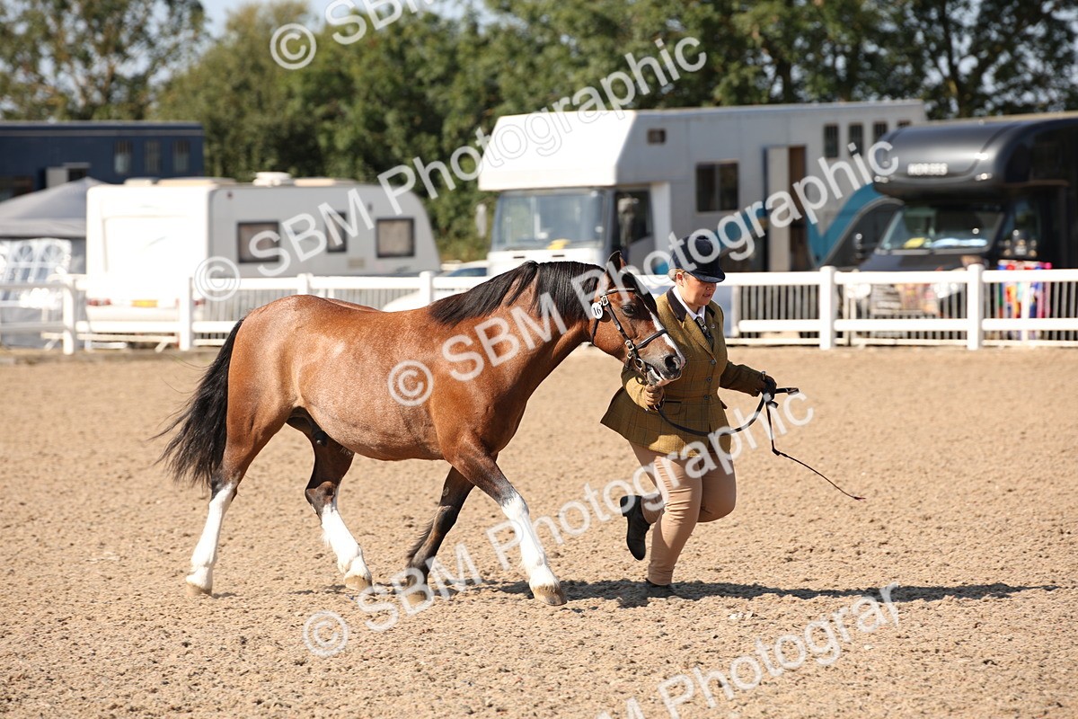 SBM_02763 - Class 16 IH M&M Wildcard