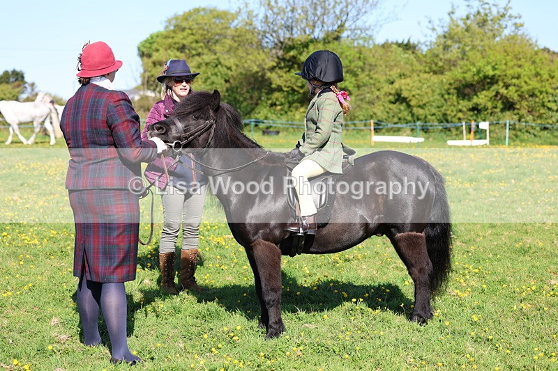 3E7A8764 - Class 2: Lead rein