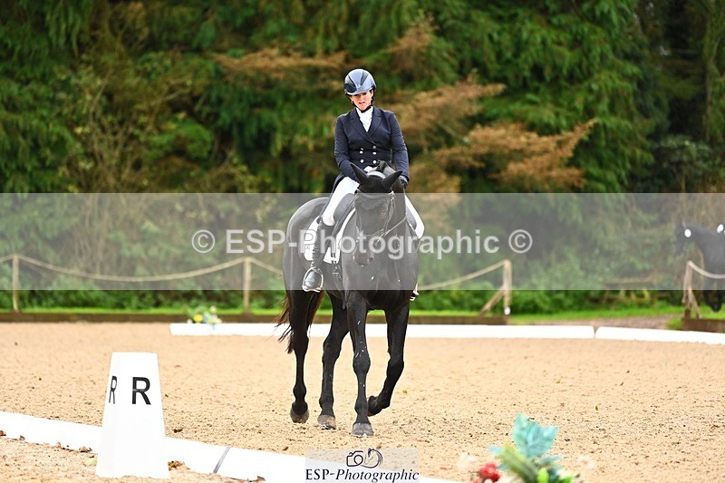 231021-115217-15000 - 343-MIDNIGHT.ROLLERCOASTER-Alison.Lidstone-DR