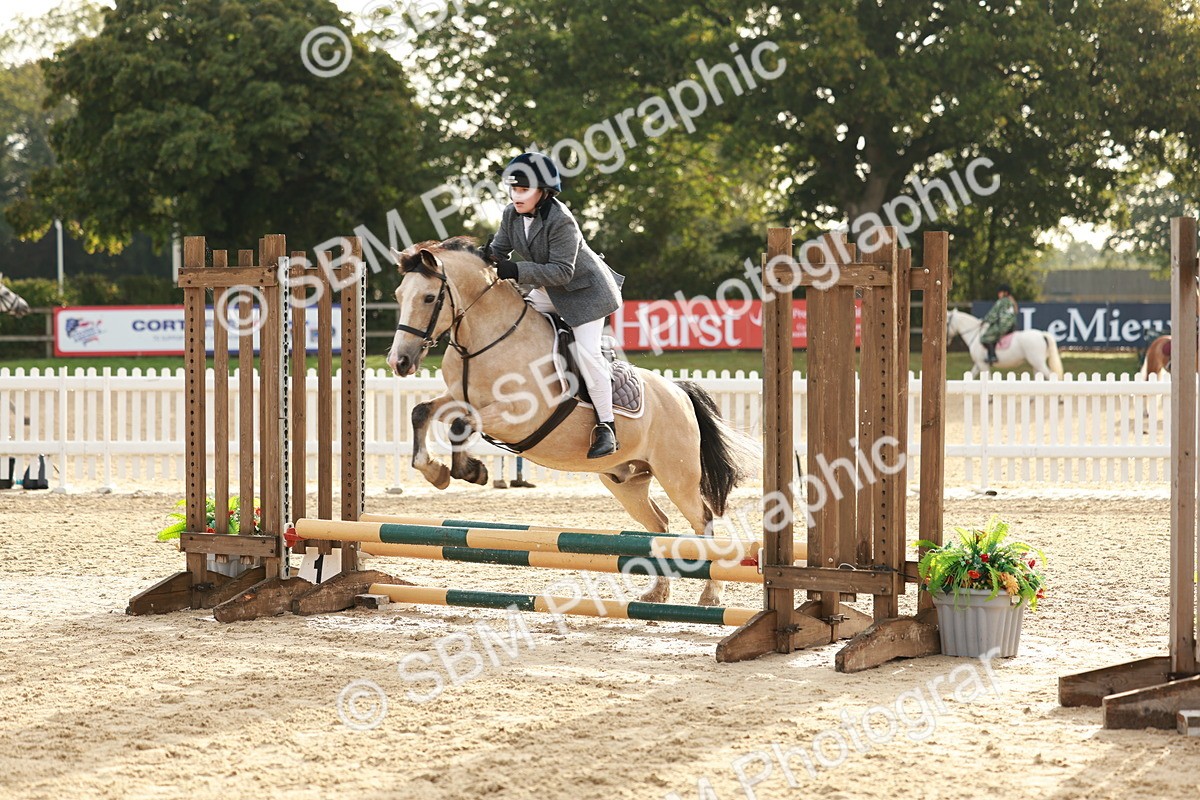 SBM_55574 - J11 - Junior Pony 50cm Championship