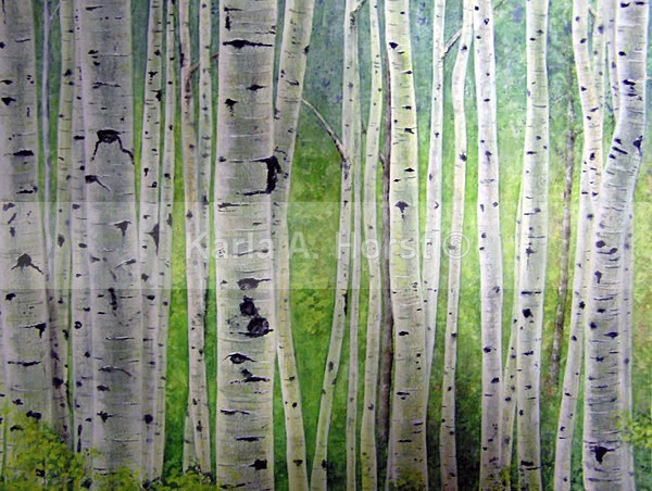 Colorado Springtime Aspen I  - Original Art