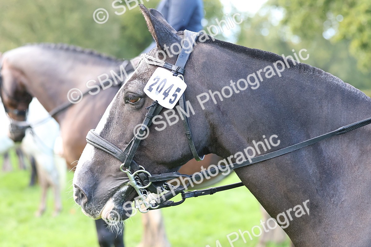SBM_36891 - S11 - Best Ridden Horse & Pony
