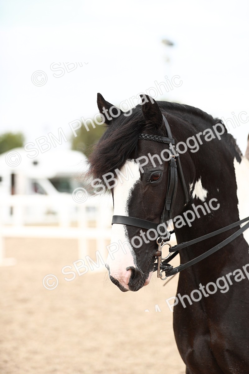SBM_16733 - Class 214 Ridden Cob
