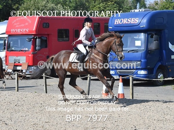 BPP_7977 - CLASS 4 Senior Discovery/ 1m Open