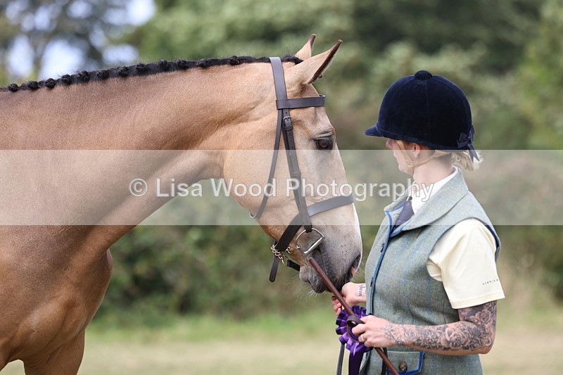 3E7A5614 - Class 20: Sports Horse In Hand