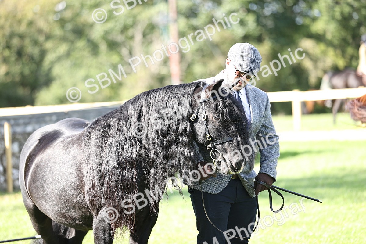 SBM_26233 - S5 - Novice & Newcomers In Hand
