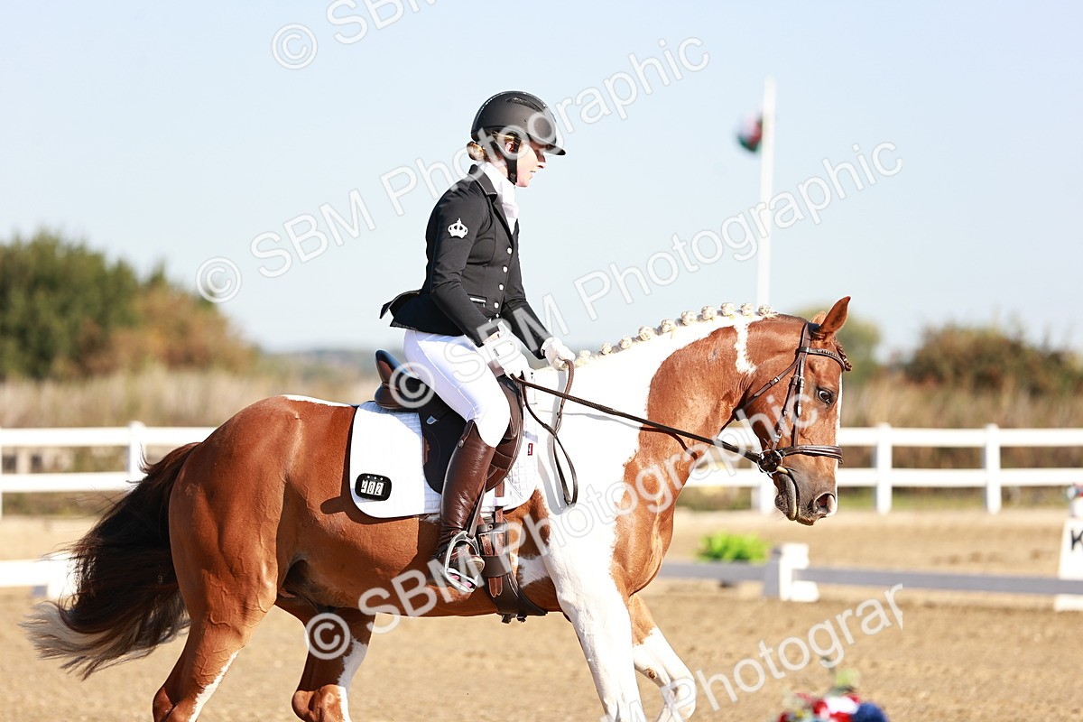 SBM_004210 - Class 12 - Novice 5 - 9.07-10.10