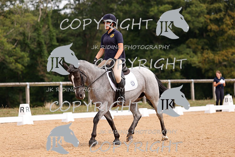 _R6A2848 - Dressage Morning