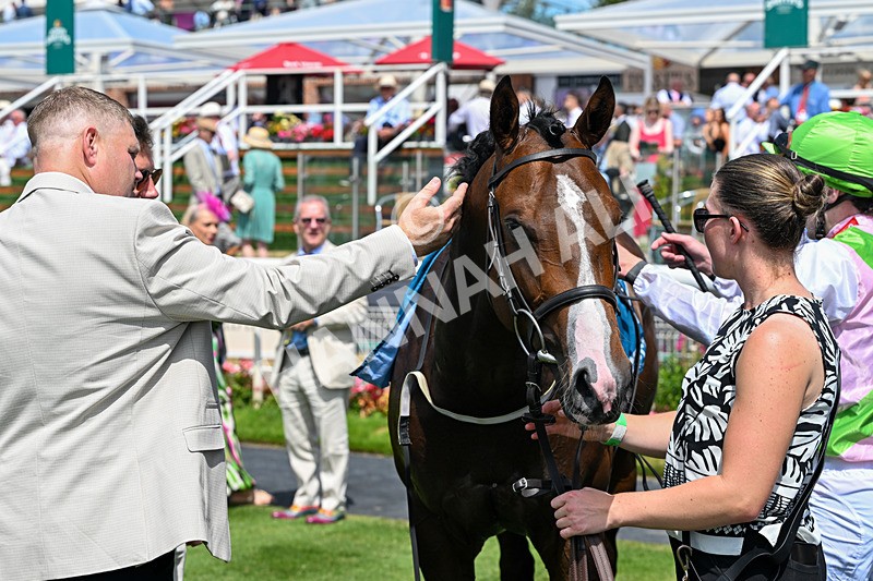 110726-Race 1-Big Cigar-6552 - Race 1 14.02pm John Smith's Nursery Handicap