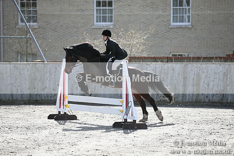 BVRC SJ 170319 252 - Bourne Valley Riding Club Showjumping 17/03/19