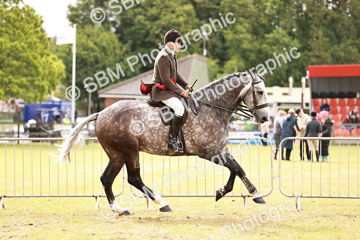 SBM_11569 - Class 81-84 - RIHS Ridden hunters Inc Ladies Hunter