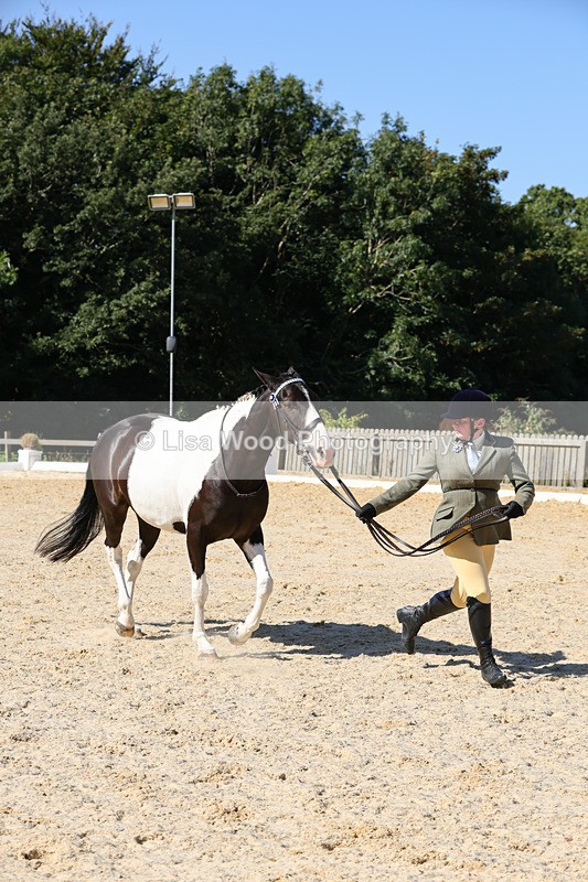 1X9A7933 - Class 10:Riding Horse