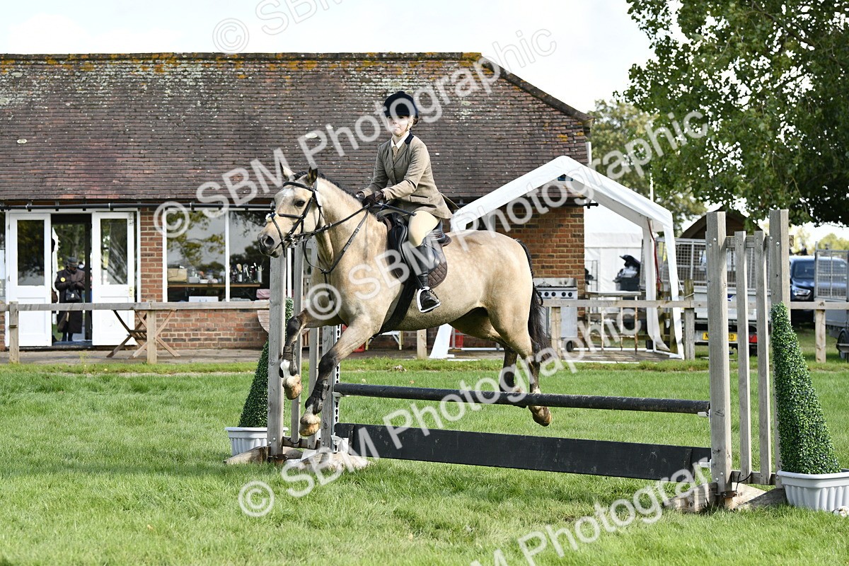 SBM_45718 - S33 - Working Hunter Pony
