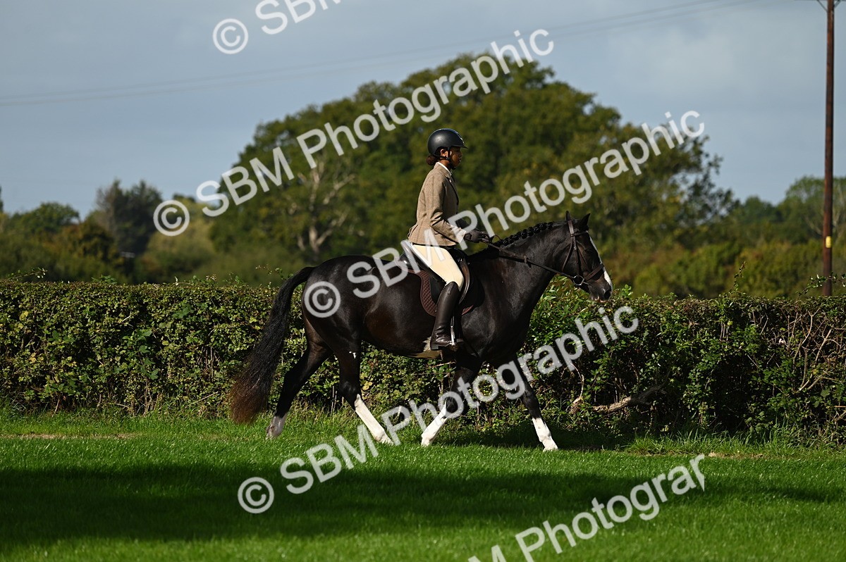 SBM_01296 - S2 - TSR Ridden Horse Showing